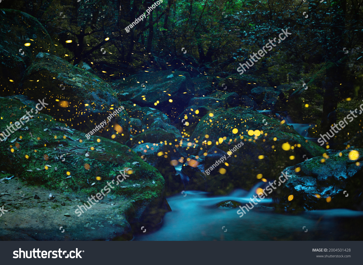 Fireflies flying around beautifully on summer nights