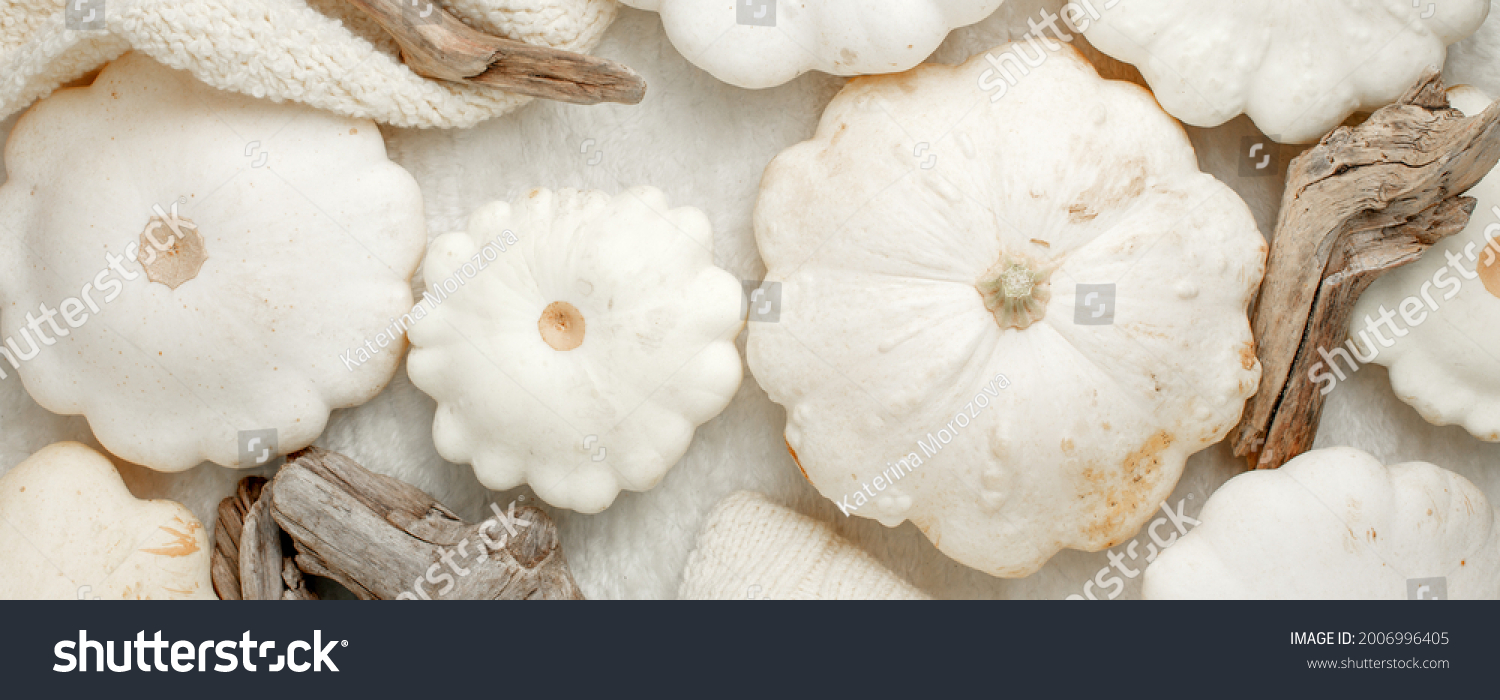 Autumn fall composition. Feminine desk table with knitted scarf and white squash pumpkin on white background. Flat lay  topview. Nordic  hygge  cozy home concept  monochrome  abstract