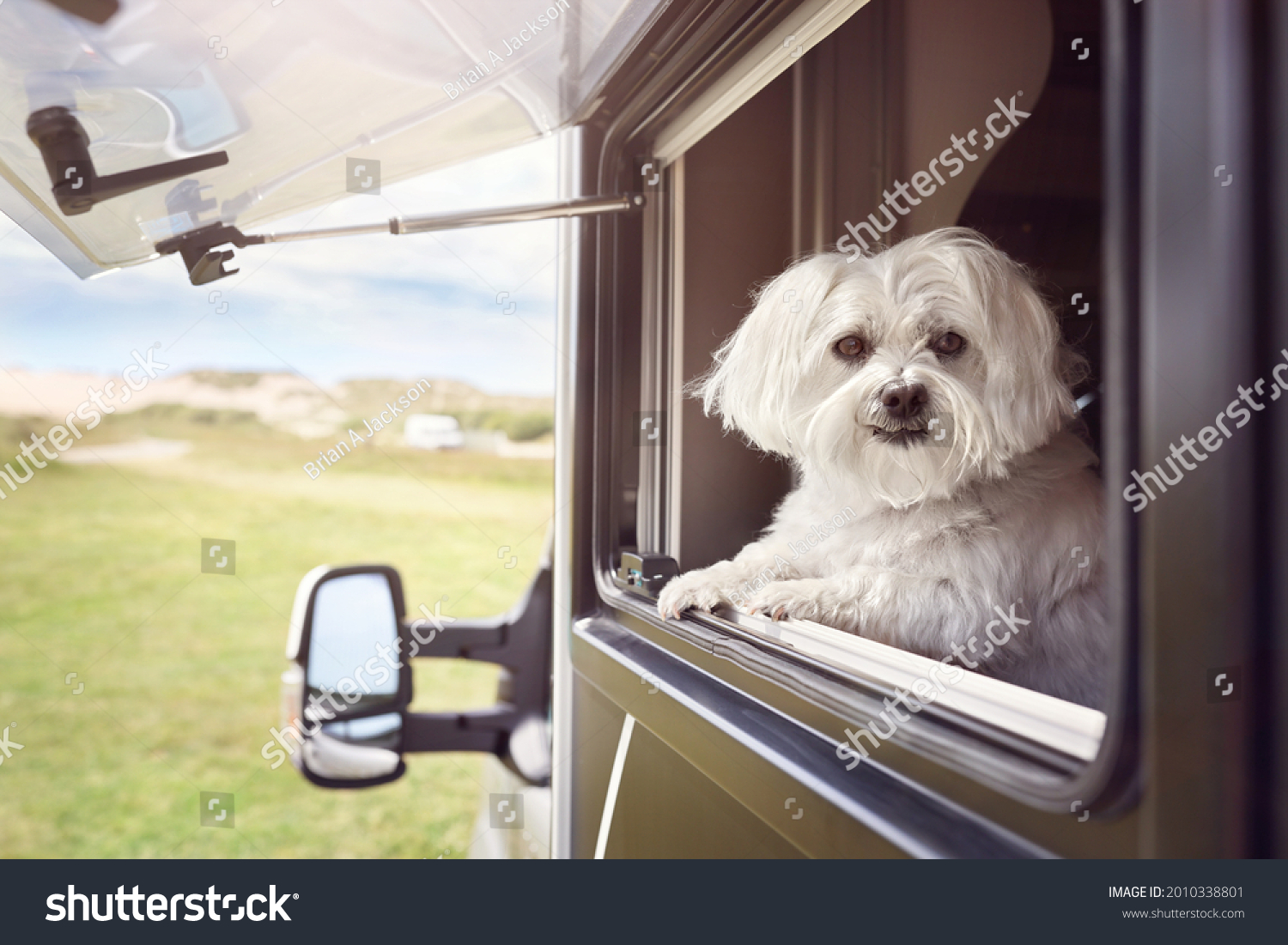 Dog looking out of motorhome or caravan window on vacation