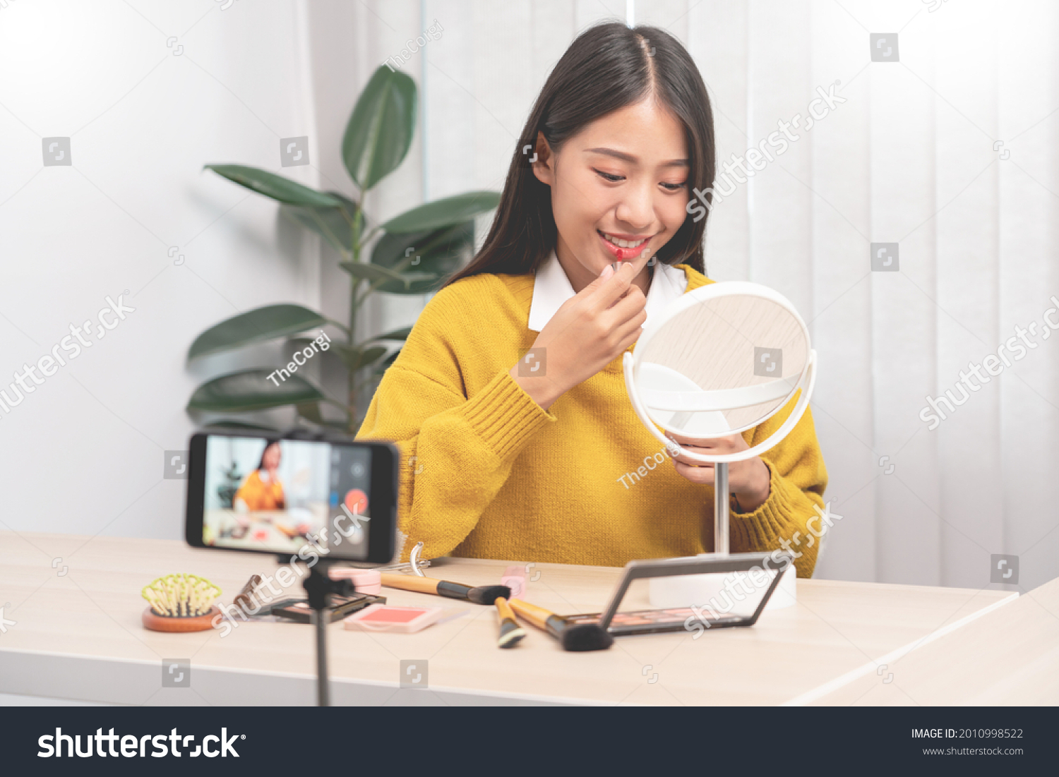 预览