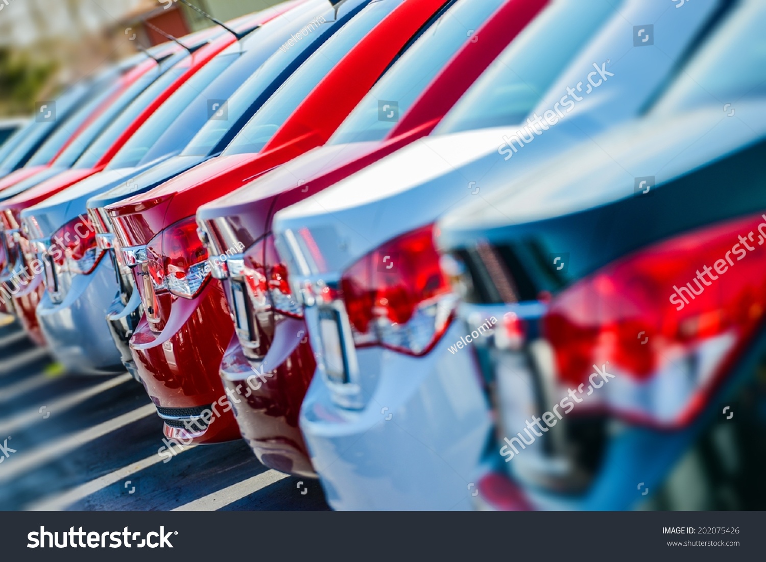 Brand New Cars in Stock. Car Dealership Cars For Sale.