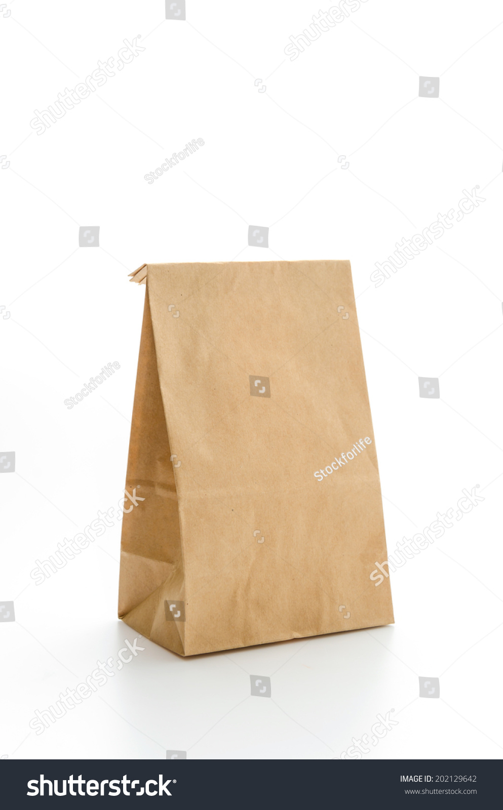 Paper bag isolated on white