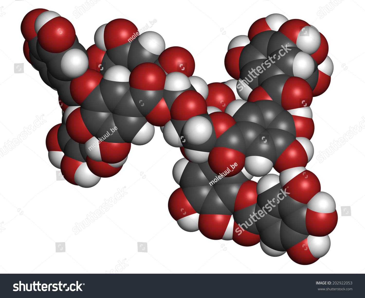 typeof，typeof翻译成中文
