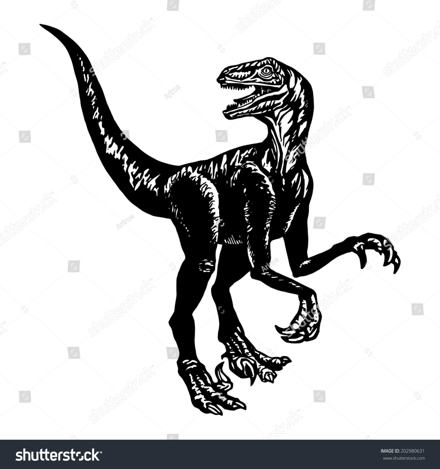 cartoon  hand drawn  vector  sketch  illustration of Velociraptor
