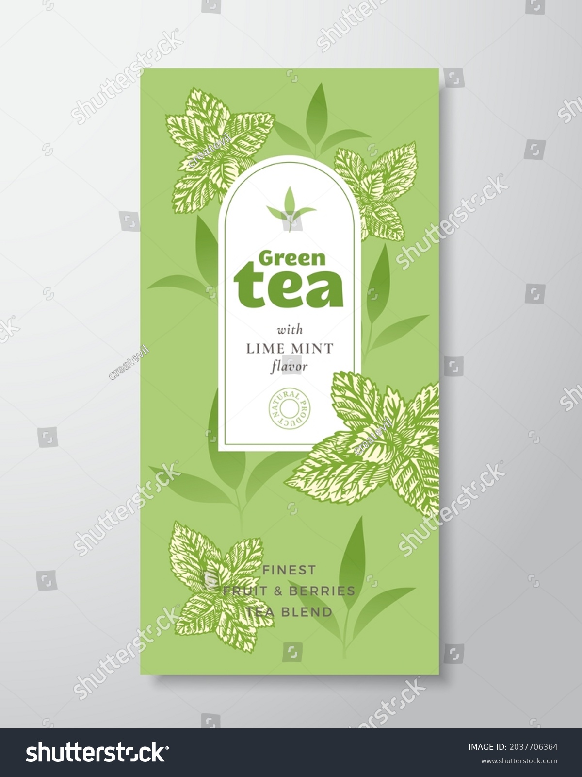 Fruit and Berries Tea Label Template. Abstract Vector Packaging Design Layout with Realistic Shadows. Hand Drawn Mint Leaves and Leaves Decor Silhouettes Background. Isolated.
