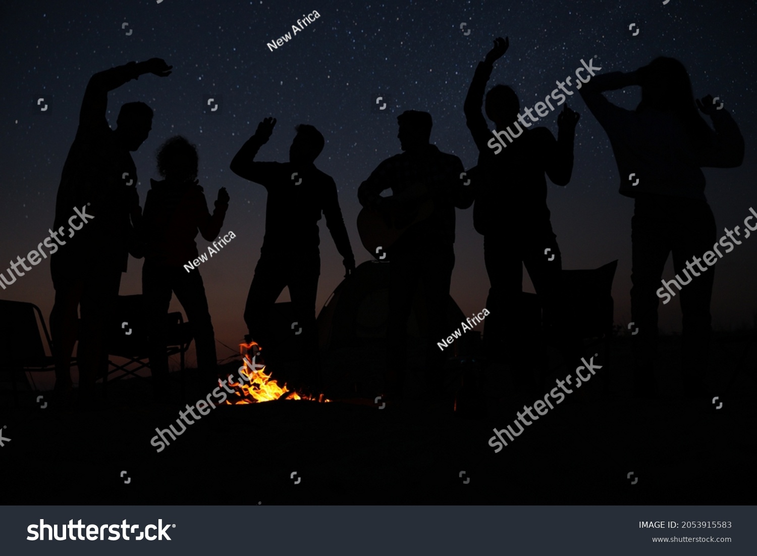 Group of friends having party near bonfire at night. Camping season