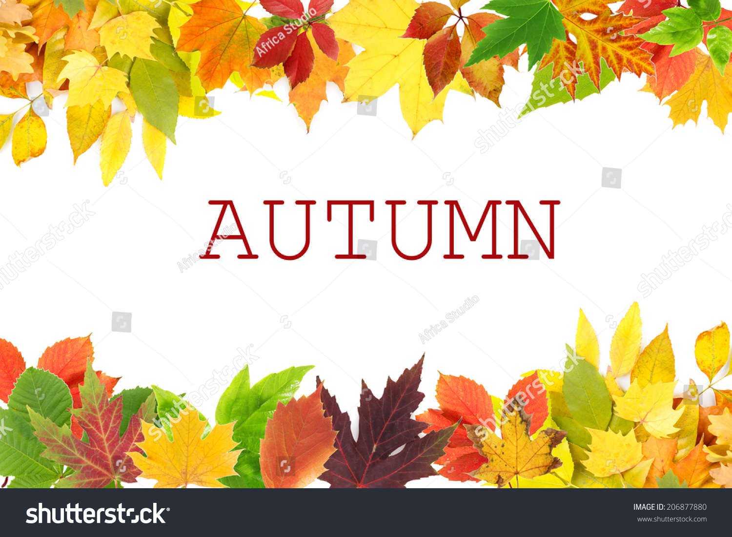 Frame of different leaves