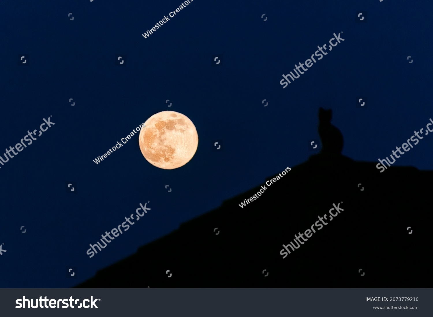 A silhouette of a cat on a full moon background during the night