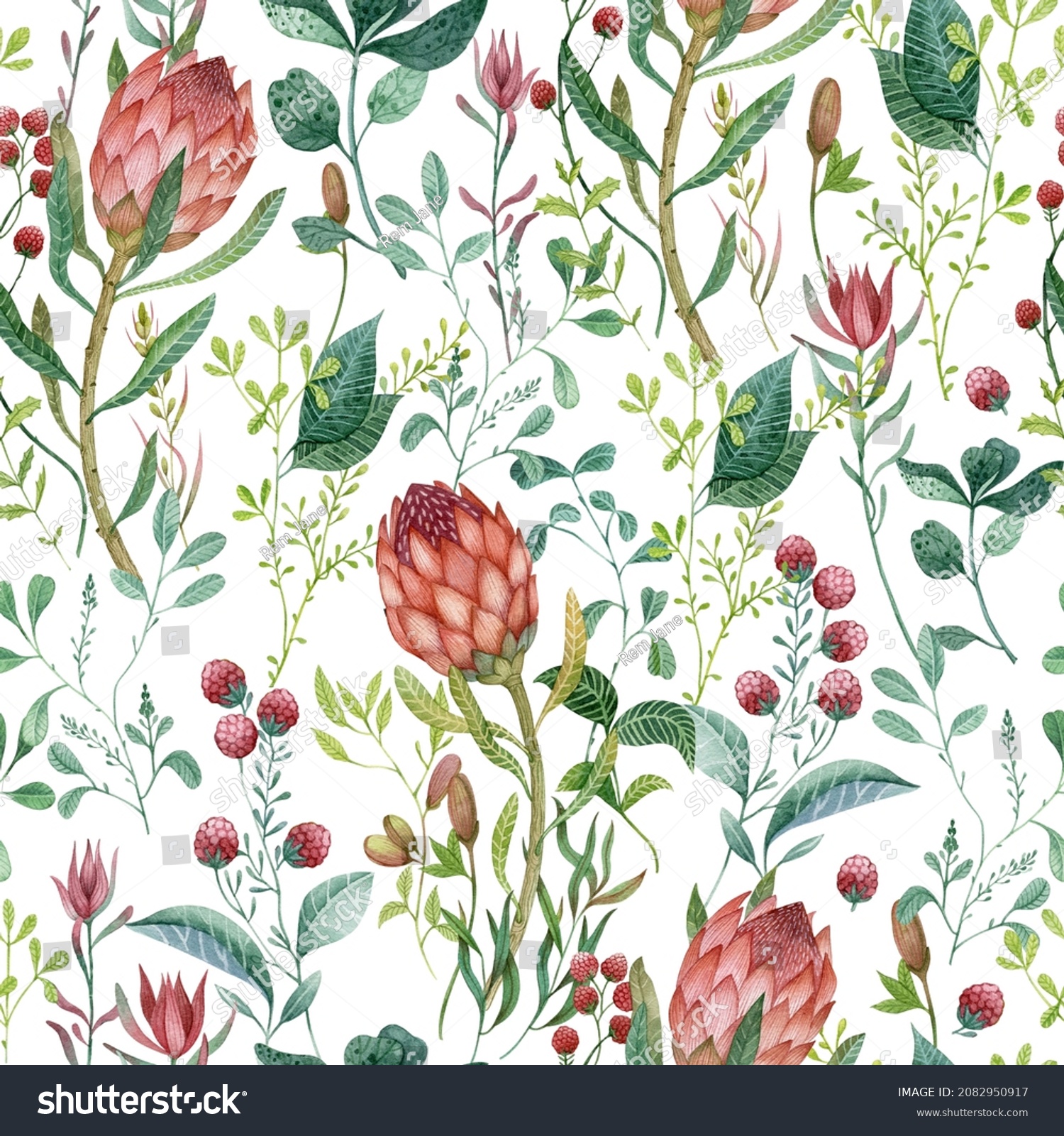 Hand drawn botanical pattern with plants and protea flowers. Watercolor ...