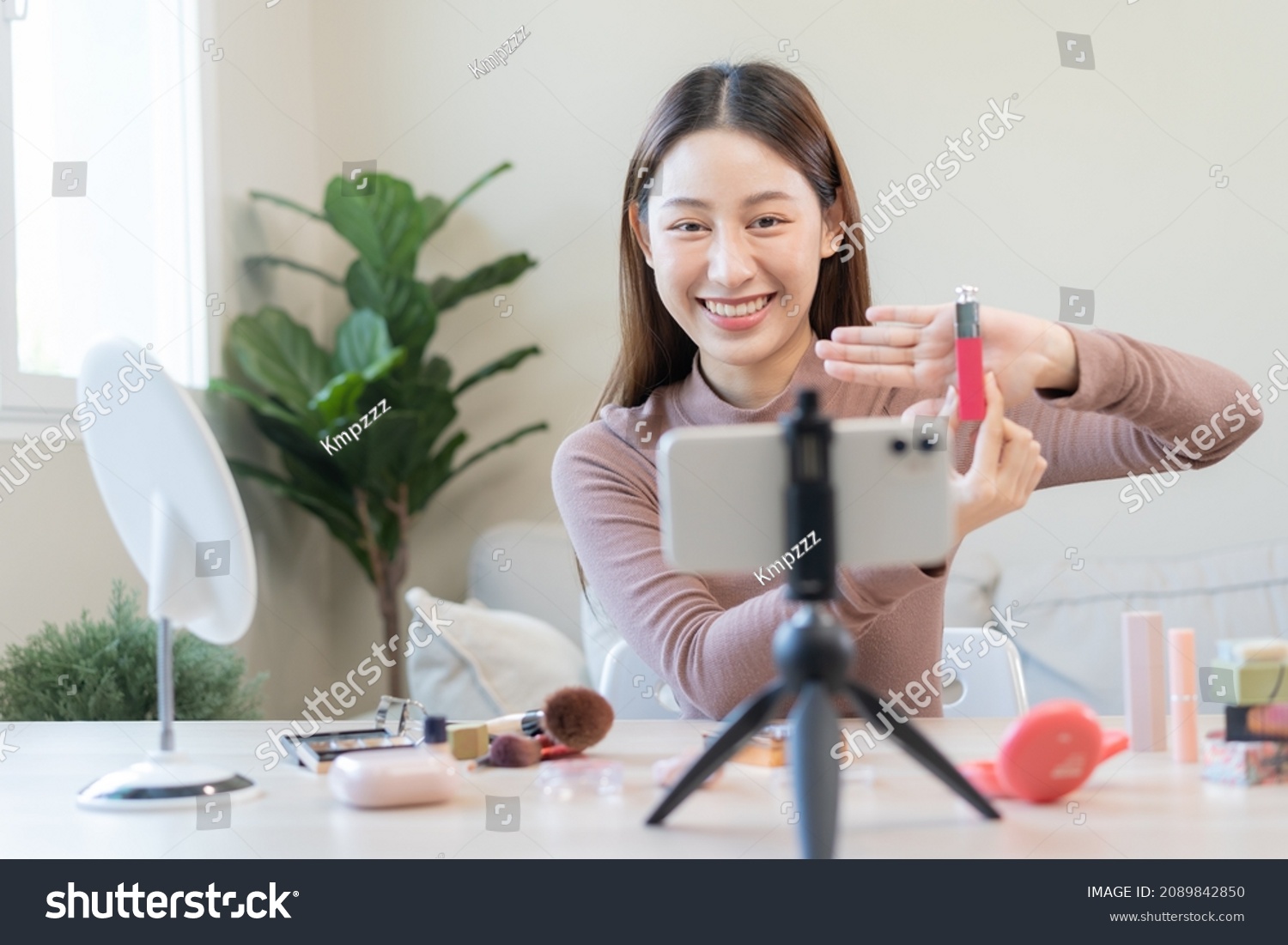 预览