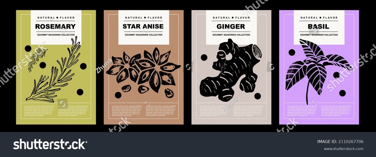 Rosemary  star anise  ginger  basil. Set of posters of spices and herbs in a abstract draw design. Label or poster for food preparing and culinary. Simple  flat design. For poster  cover  banner. 