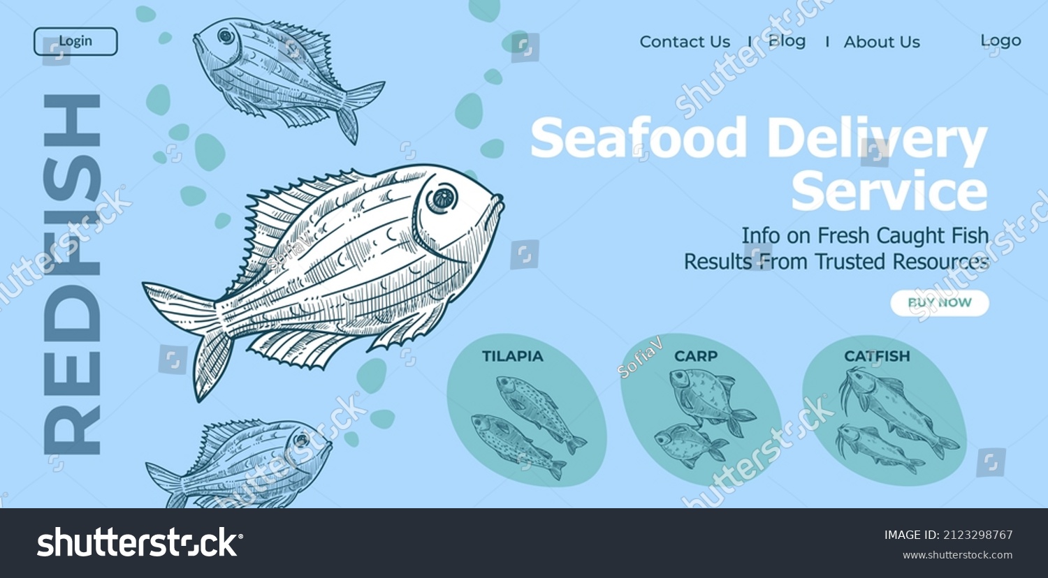 Variety of fish in seafood delivery service  online shop selling and transporting fresh redfish  catfish and carp  tilapia. Website or landing page with monochrome sketches. Vector in flat style