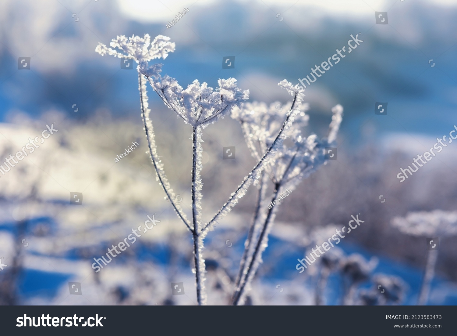 Winter landscape. Fairy-tale beauty snow-covered streets. Snowfall and cooling in tourist areas.