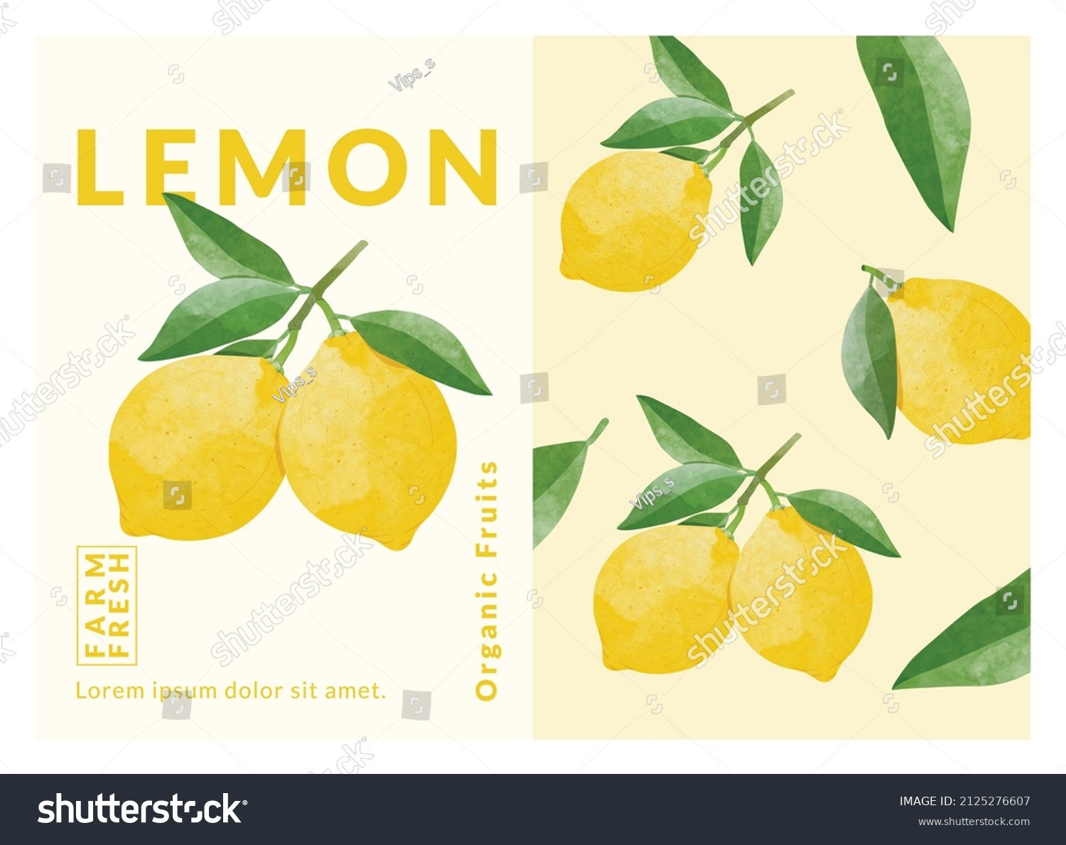 Lemon packaging design templates  watercolour style vector illustration.
