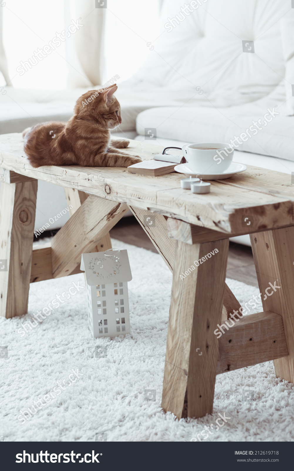 Still life details cup of coffee on rustic bench and a cat lying down on it in white cottage room