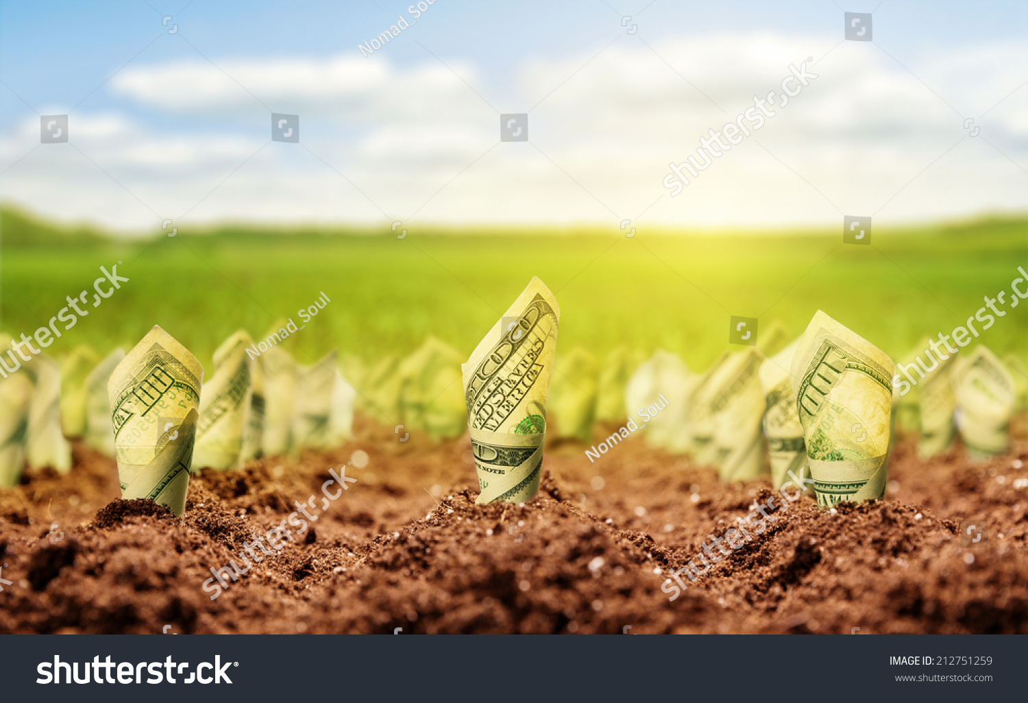 American dollars grow from the ground