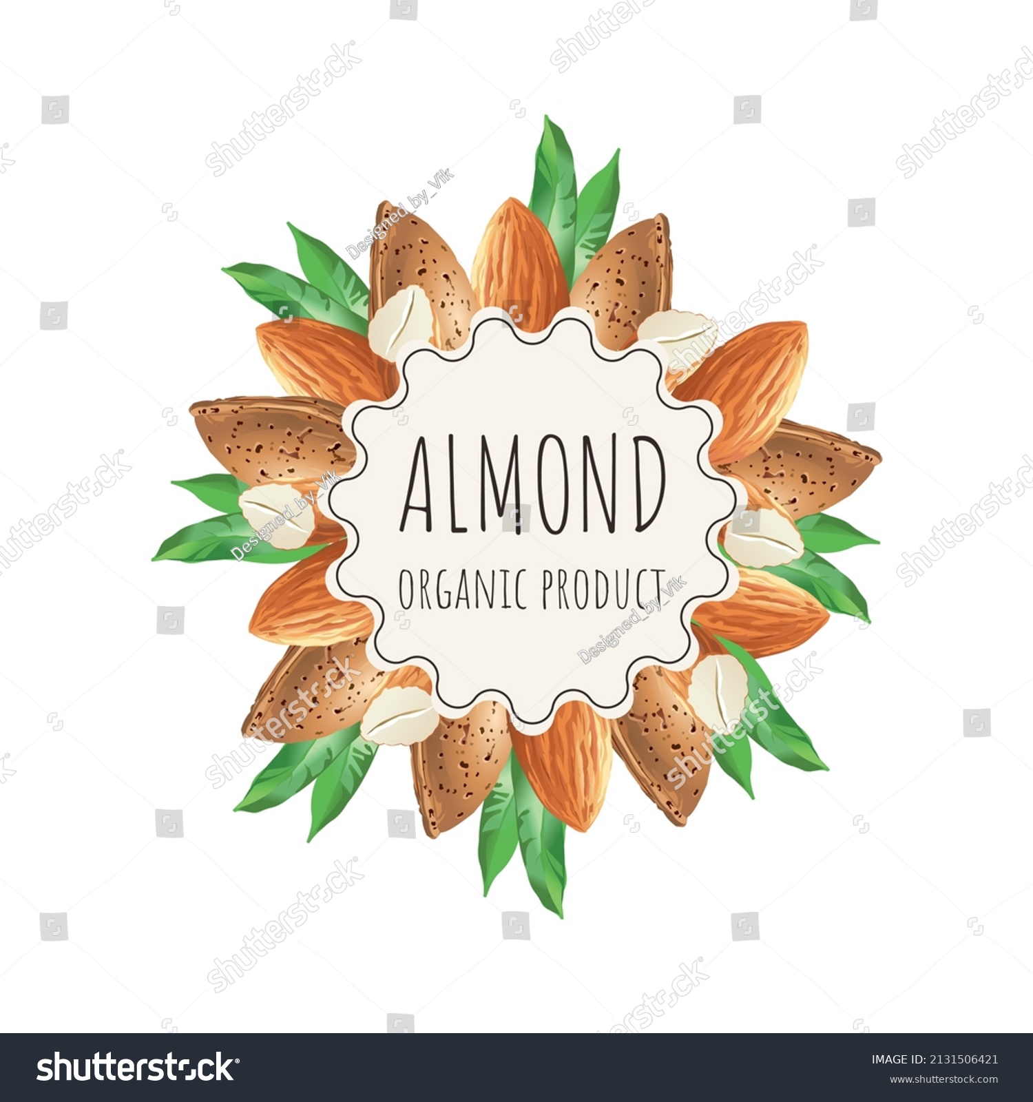 Vector almond label for package. Collection with different nuts labels: hazelnut  walnut  pistachio  peanut  brazil nut  cashew  almond. Organic and natural food. Craft background