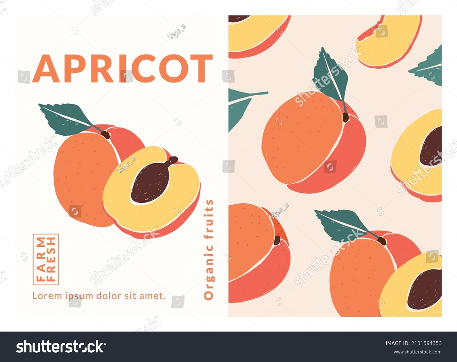 Apricot Label packaging design templates  Hand drawn style vector illustration.
