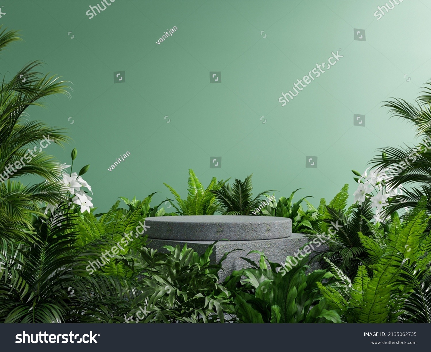 Concrete podium in tropical forest for product presentation and green wall.3d rendering