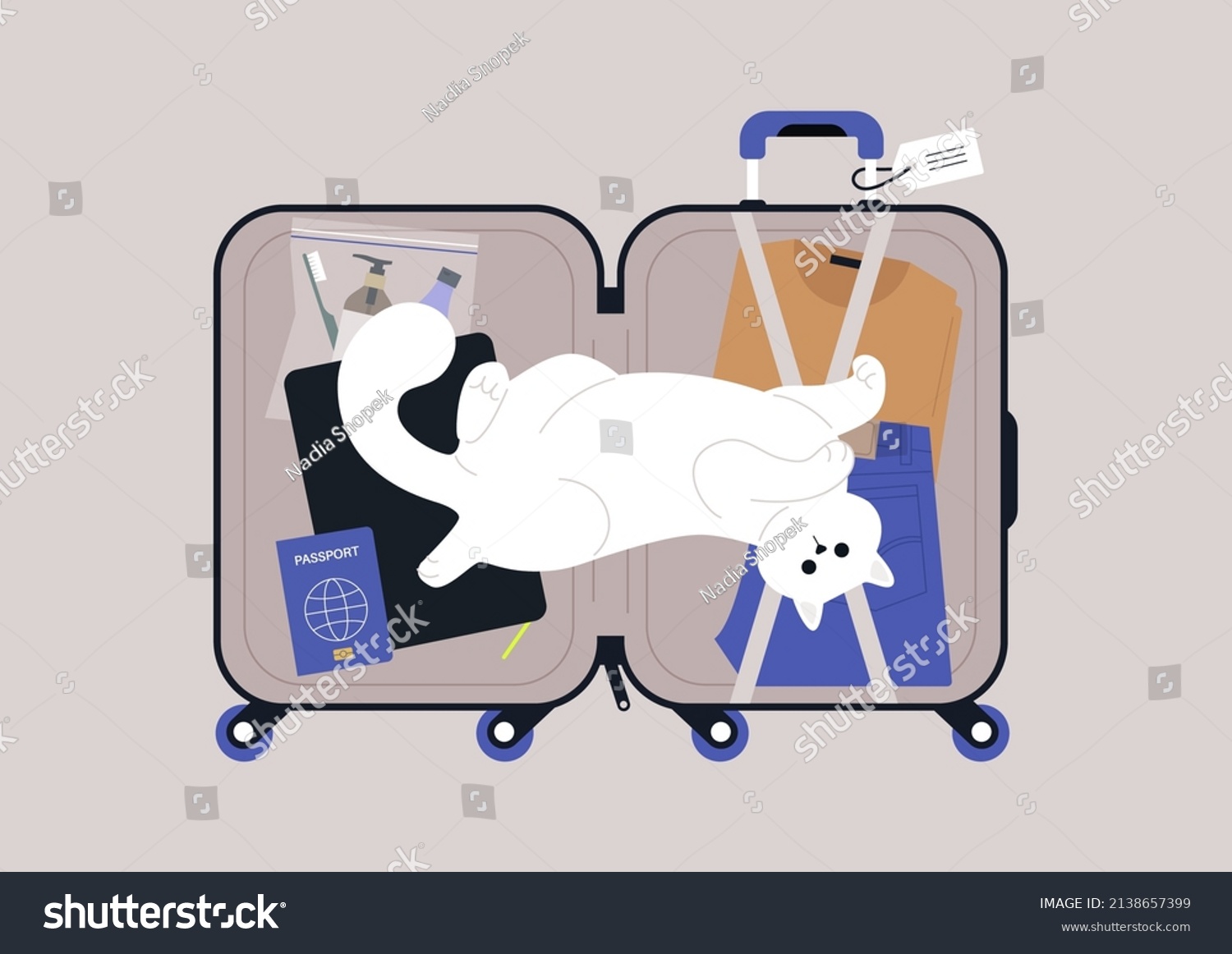Cute white cat lying in a luggage bag with their belly up  travel concept