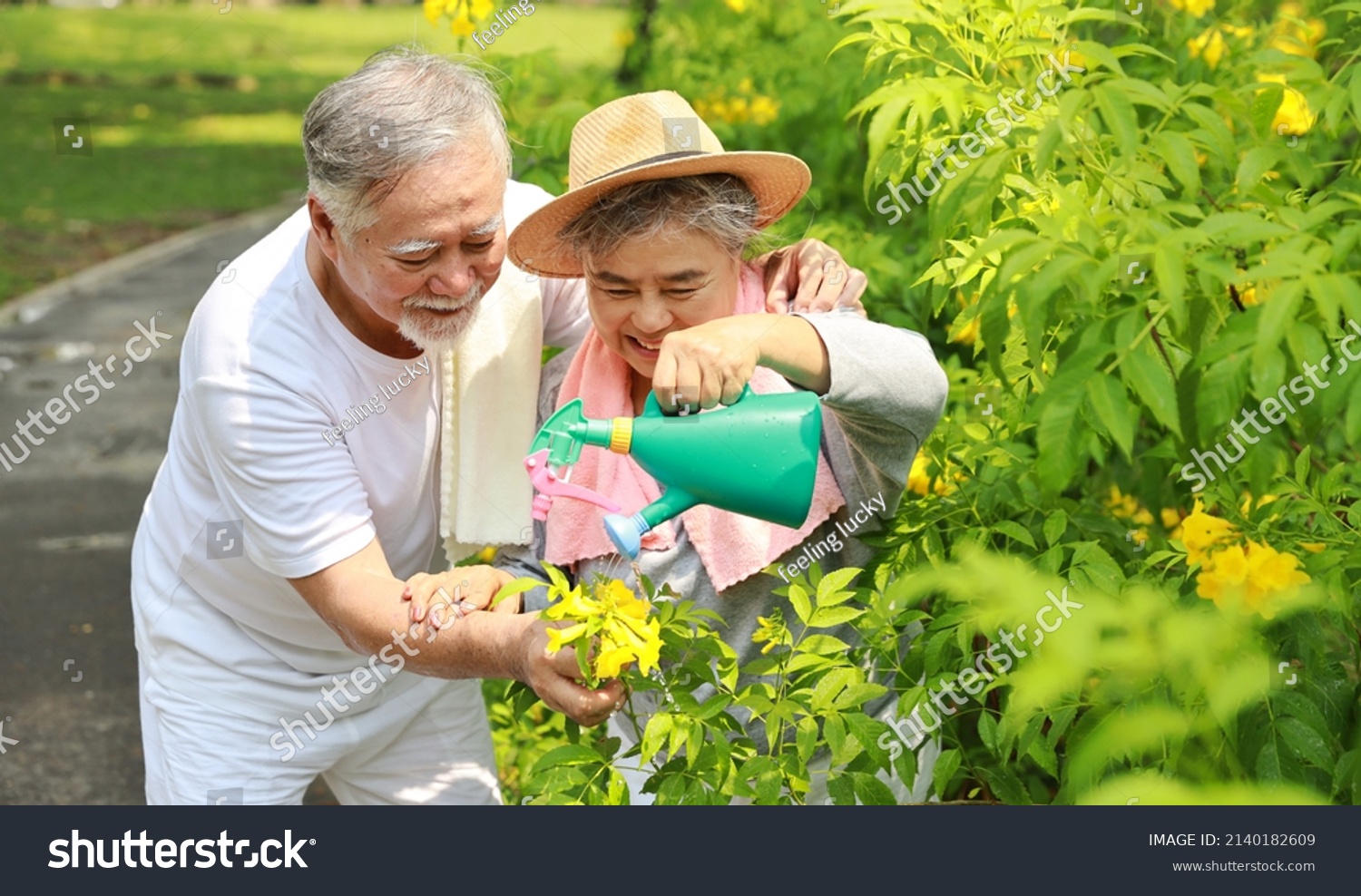 预览