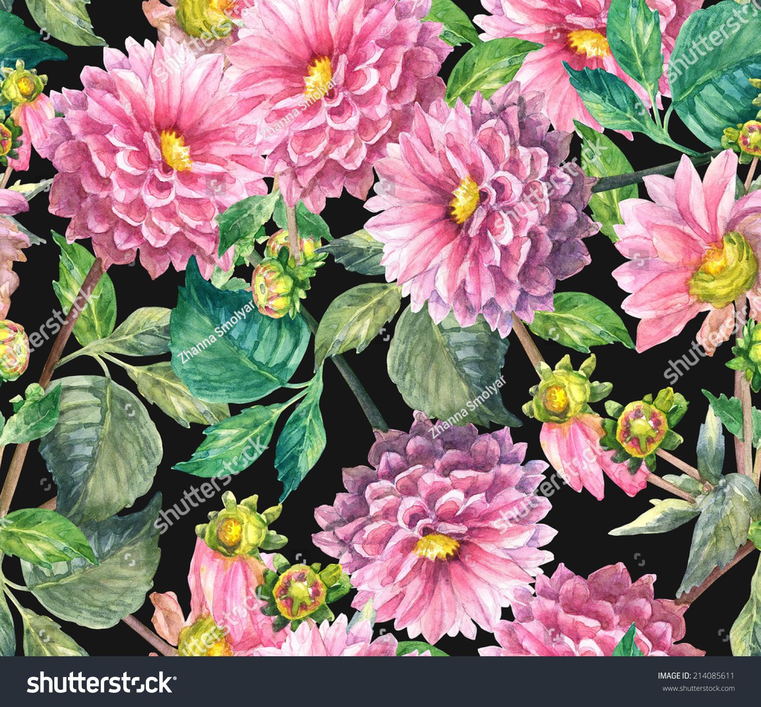 Pink Dahlias floral seamless pattern. Watercolor hand painting illustration . 