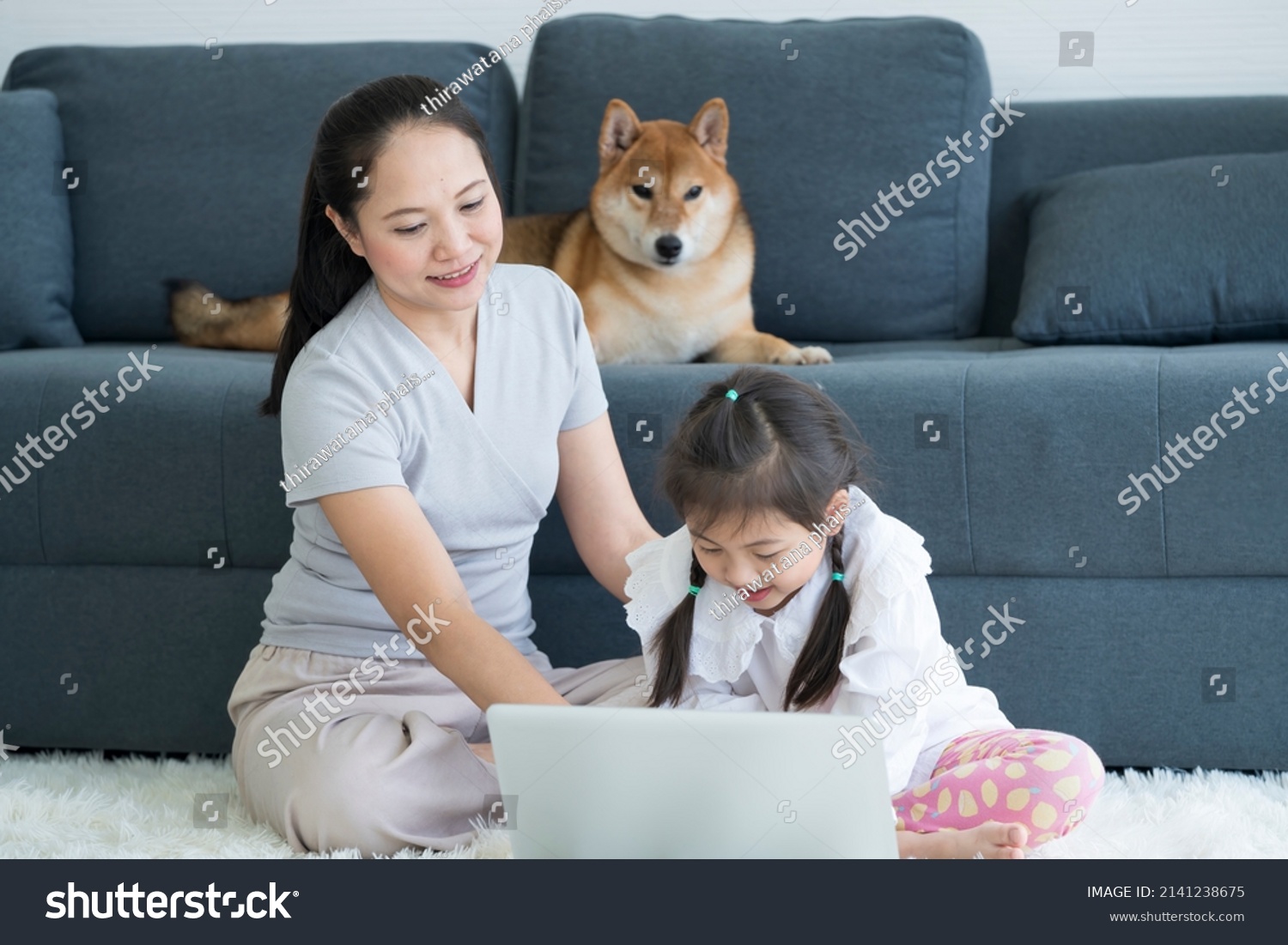 预览