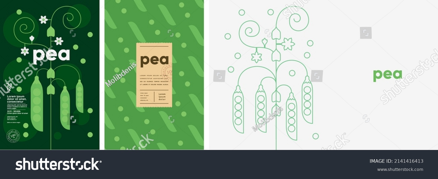 Pea. Food and natural products. Set of vector illustrations. Geometric  simple  linear style. Label  cover  price tag  background.