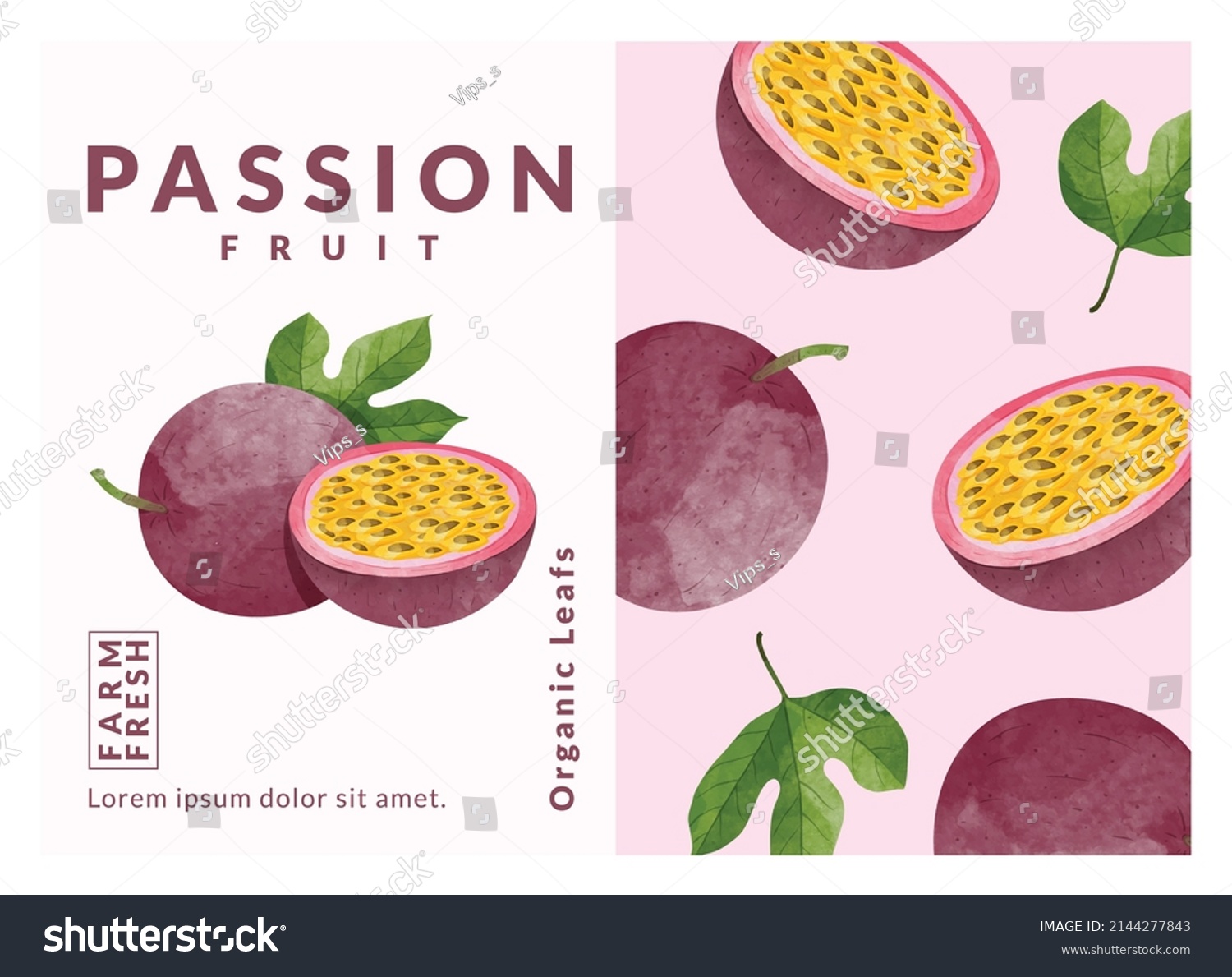 Passion fruit packaging design templates  watercolour style vector illustration.