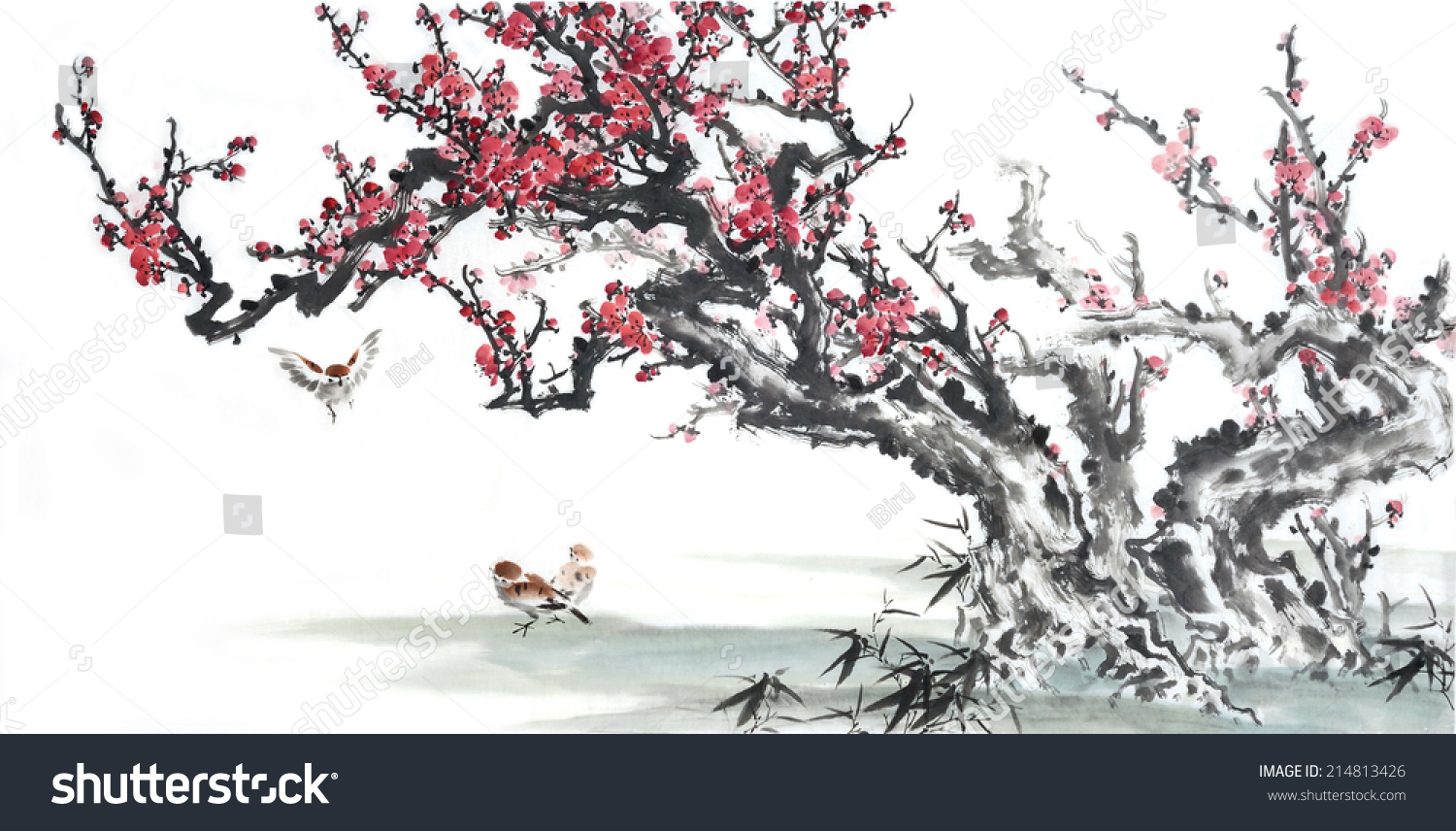 Plum Blossom on White Background-Traditional Chinese Painting.