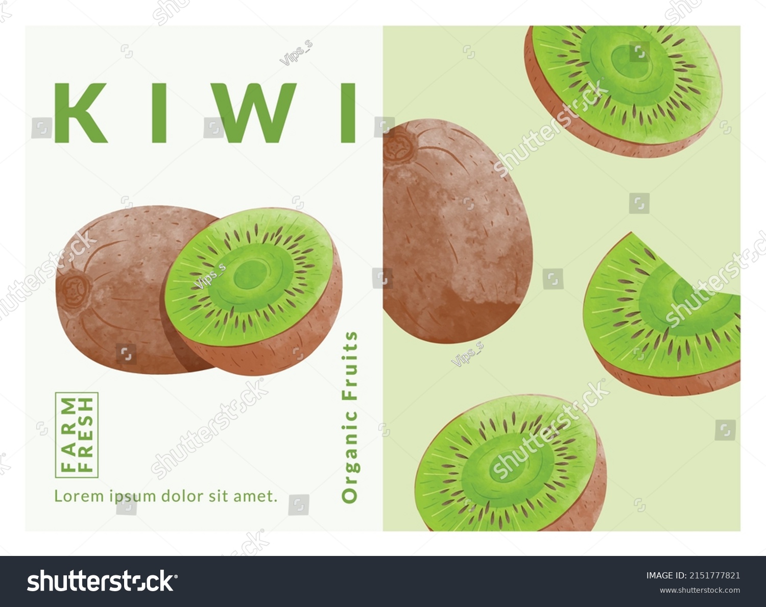 Custard Apple packaging design templates  watercolour style vector illustration.