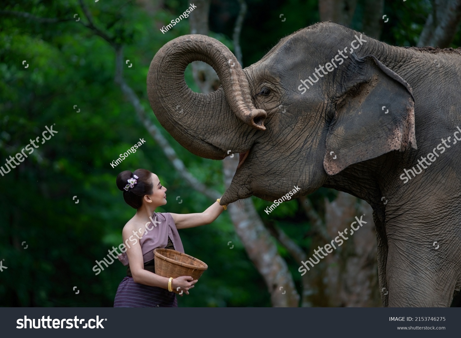 A beautiful Asian Woman wears a Thai dress with her elephant.