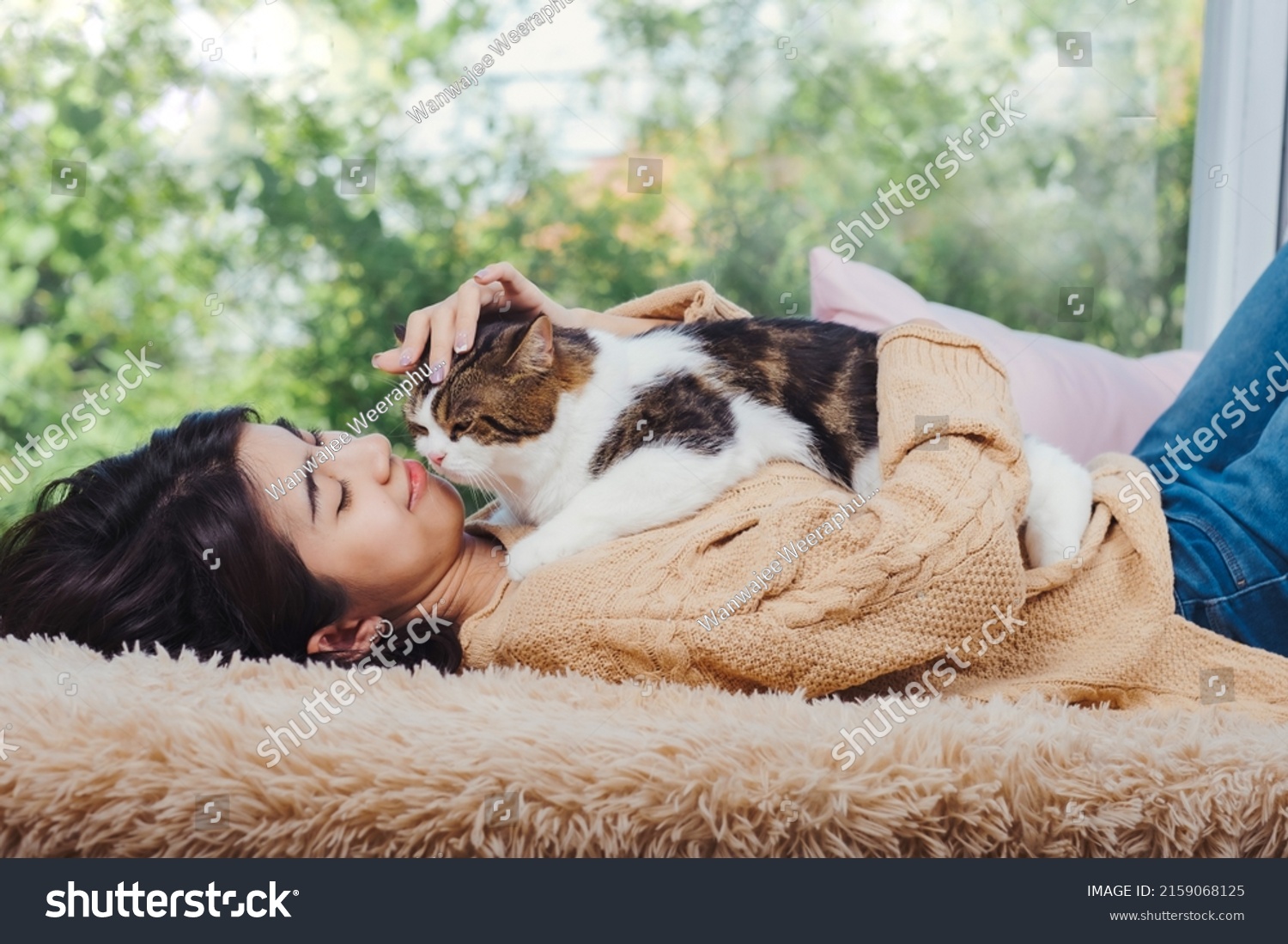 Fluffy and cute scotish cat laying down on asian woman chest while she lay dow on brown carpet at living room touching cat with love feeling.