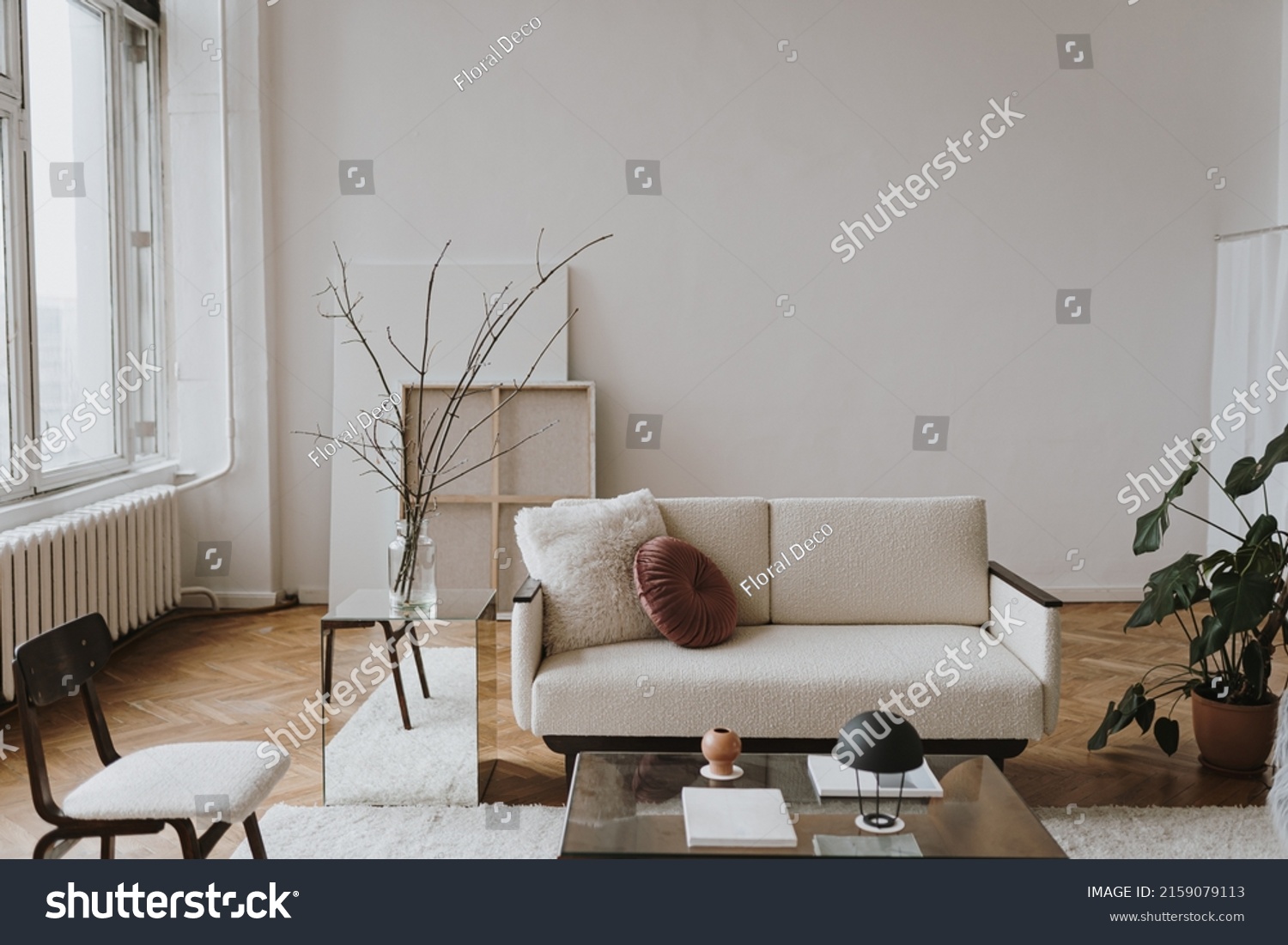Aesthetic modern Scandinavian home interior design. Elegant living room with comfortable sofa  mid-century furniture  cozy carpet  wooden floor  white walls  home plants