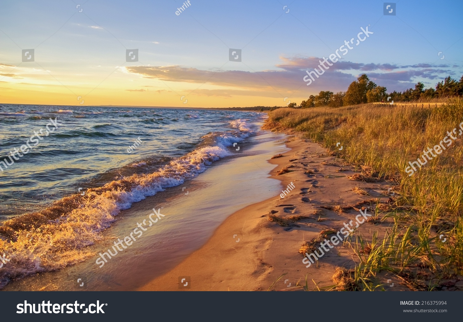 Beach Background. Beautiful sandy beach stretches to the blue sky horizon.