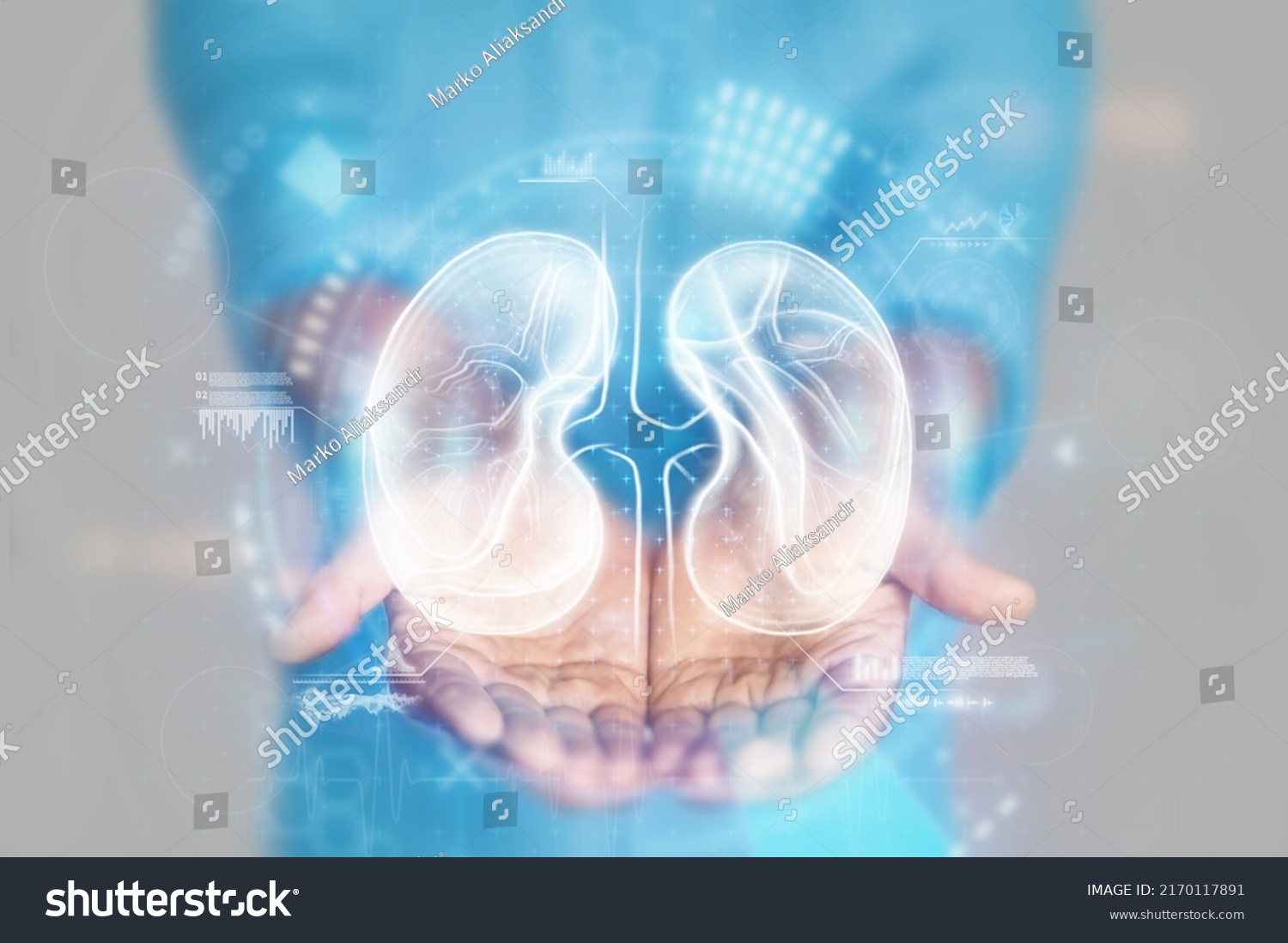 Medical concept  doctor's hands in a blue coat close-up. Ultrasound of the kidneys  x-ray  hologram. Medical care  anatomy  doctor's appointment  transplantology. mixed media