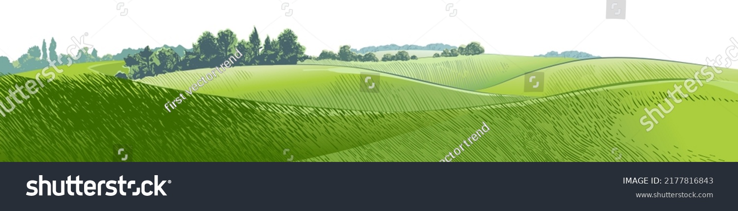 Green grass field hills. Meadow  alkali  lye  grassland  pommel  lea  pasturage  farm. Rural scenery landscape panorama of countryside pastures. Vector watercolor realistic illustration