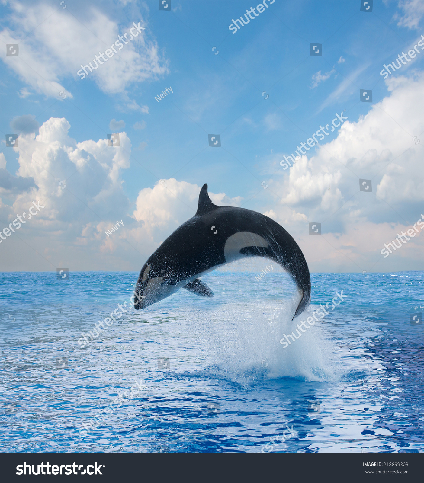 jumping killer whale