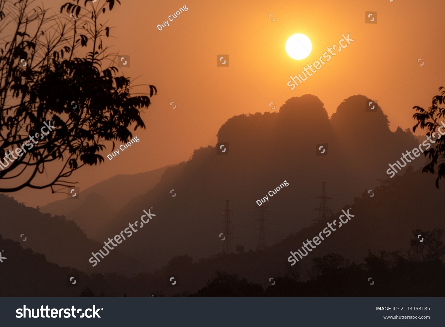 Flowers and leaves at Hoa Binh private farm  Vietnam