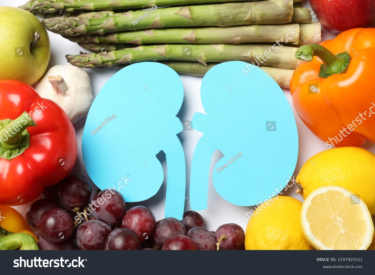 Paper cutout of kidneys and different healthy products on white background  flat lay
