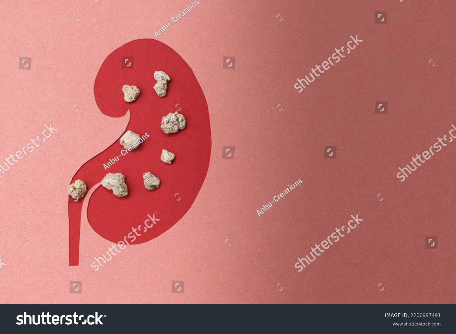 a model of a human kidney made on paper. the concept of timely kidney stones treatment.