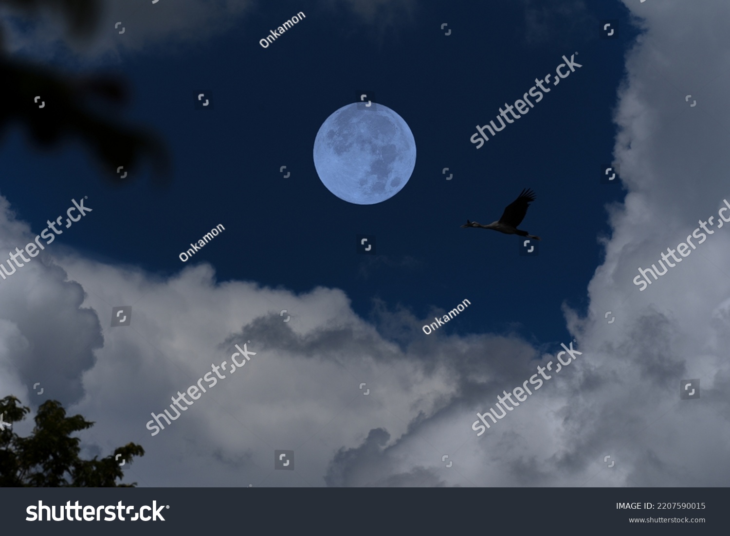 Full moon with clouds and bird silhouette on the sky.