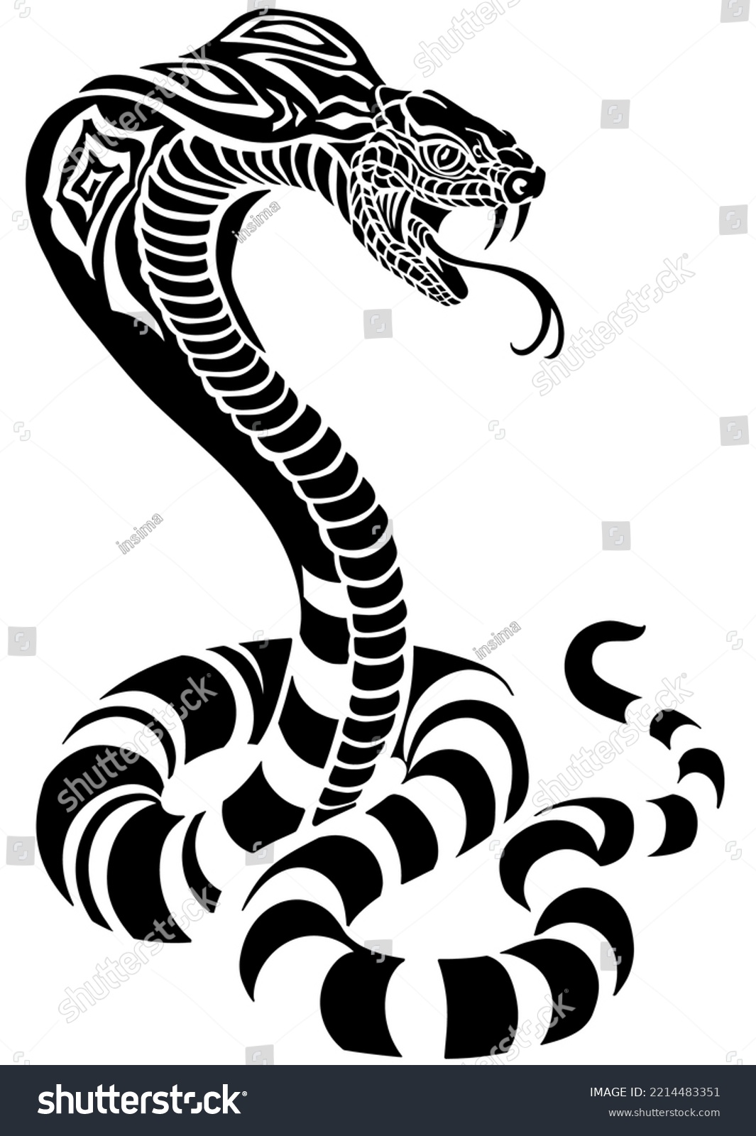 cobra poisonous snake in a defensive position. Attacking posture ...