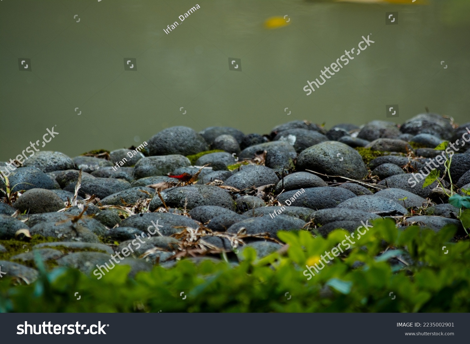 patterned stones mixed with water and grass