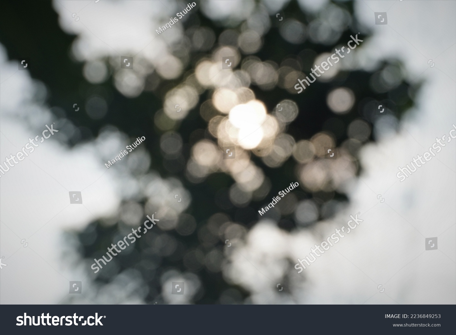 Blur background of sunlight under the trees in the morning