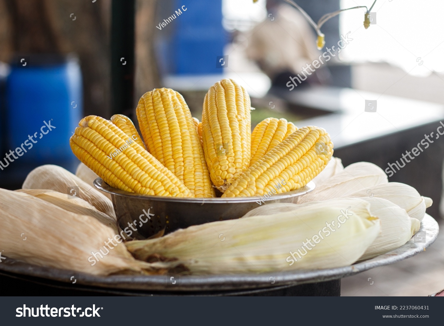 Boiled corn cobs on open market.
Street food. Ripe corn cobs are steamed in a large metal pot.