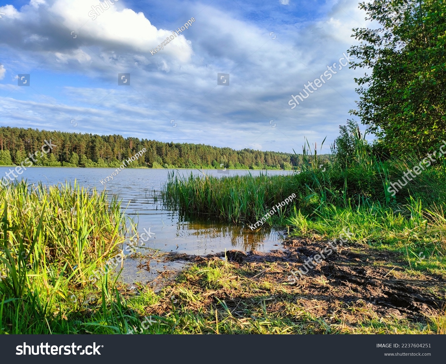 landscape of a small lake