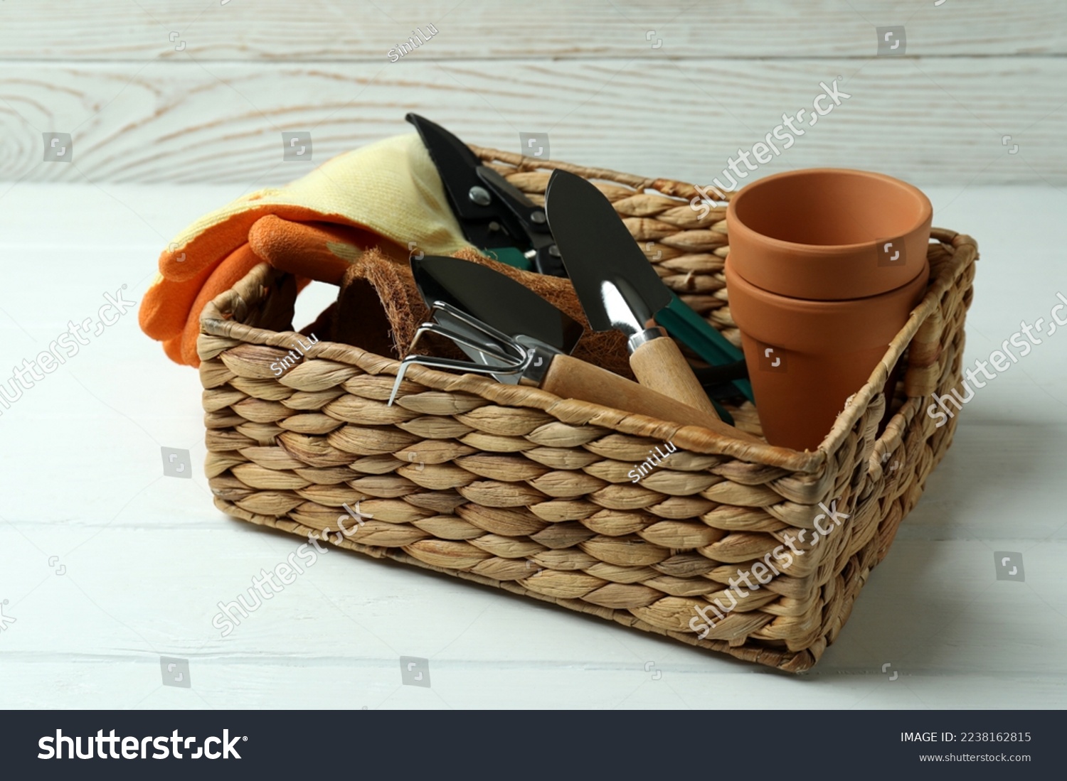 Concept of gardening on white wooden background