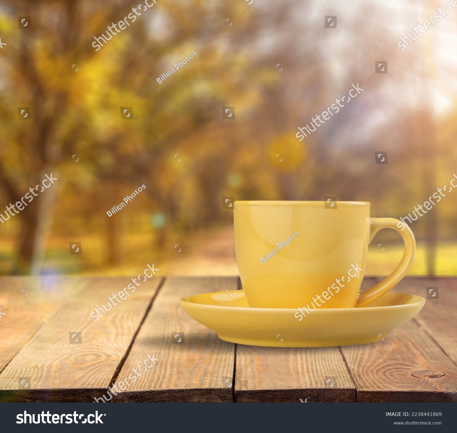 Ceramic cup of hot drink on autumn background