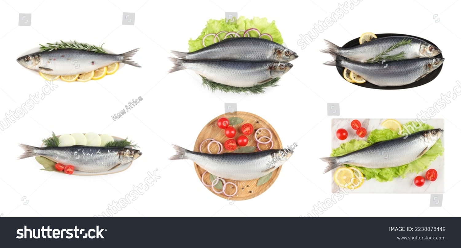 Set with tasty salted herrings on white background  top view. Banner design